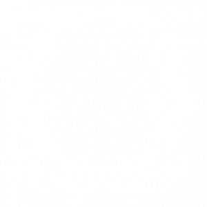 Istituto Fittizio Scarabelli